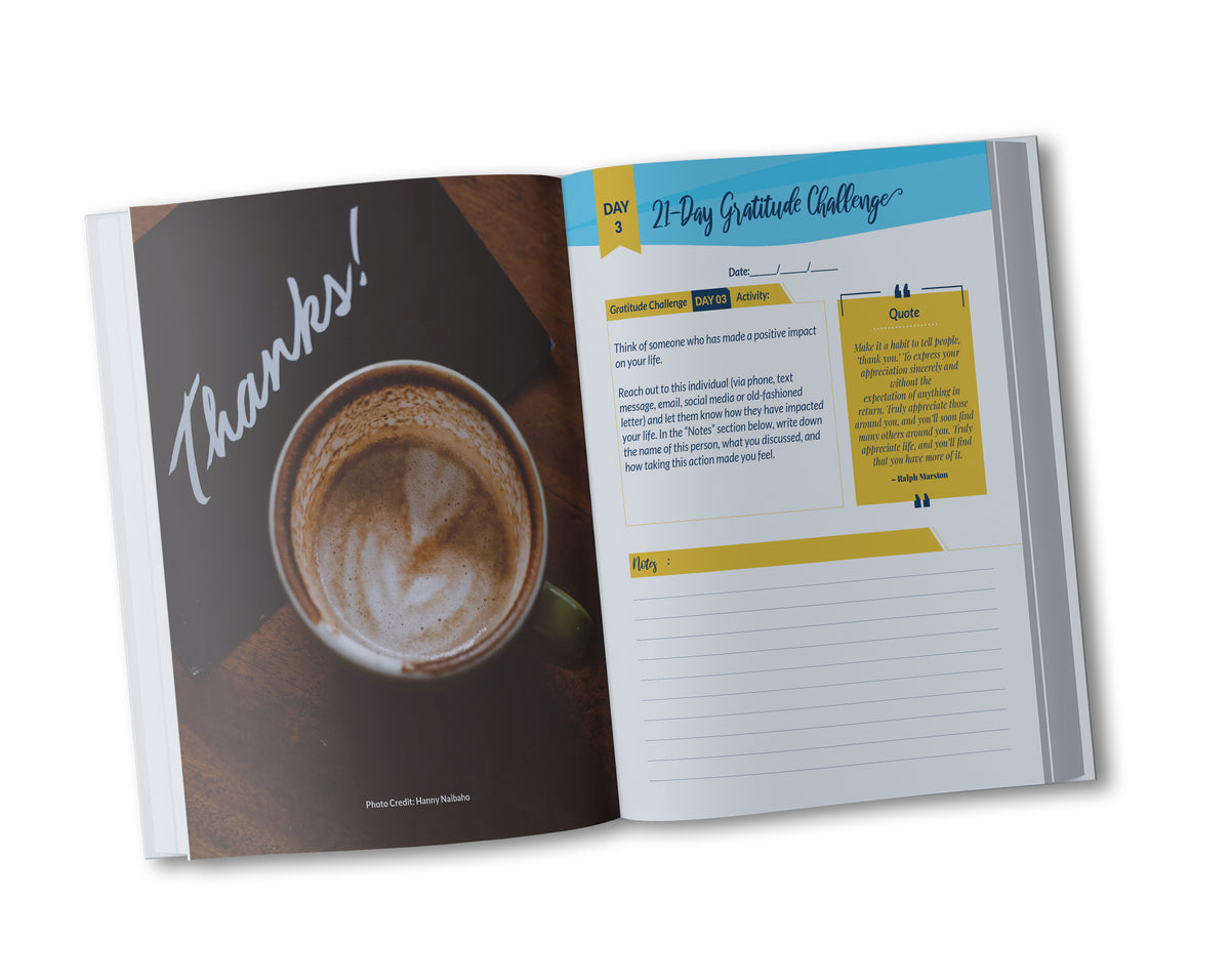 Invincible Spirit Unconquerable Soul Gratitude Journal: Gratitude Journal and 21-Day Gratitude Challenge